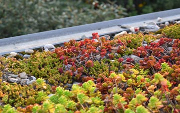 the cost of Pentre Cefn green roof installation