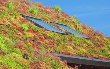 Pentre Cefn living roof systems